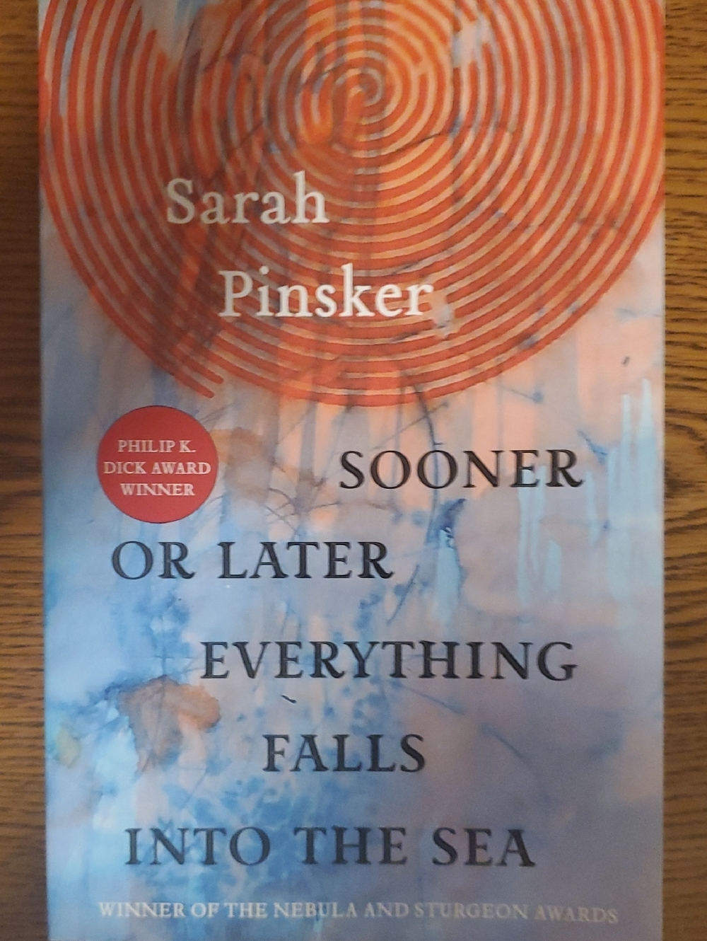 Summer Reading Book ~Sarah Pinsker:Sooner Or Later Everything Falls Into The Sea